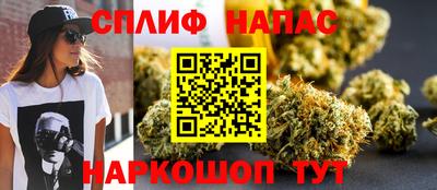 дурь Камышлов