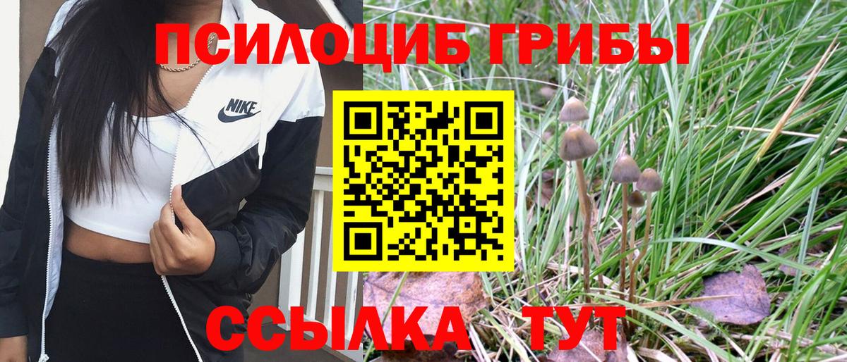Псилоцибиновые грибы Psilocybine cubensis Арзамас