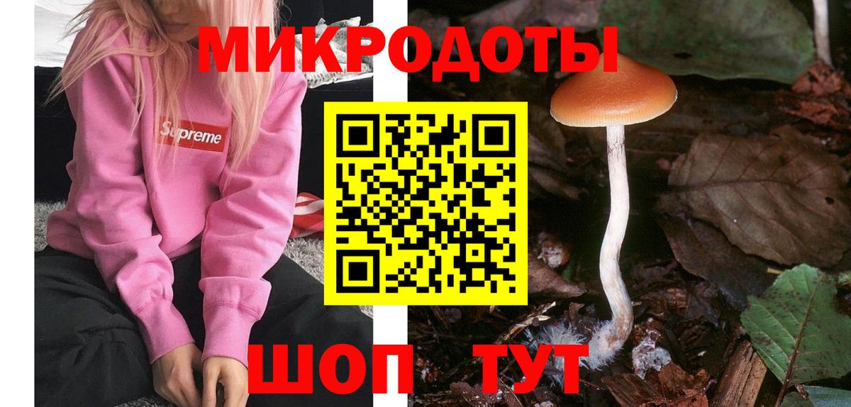 Псилоцибиновые грибы прущие грибы  Вход с VPN  Арзамас 